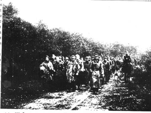 Колонна пленных немцев, апрель 1945 года, южнее Берлина.